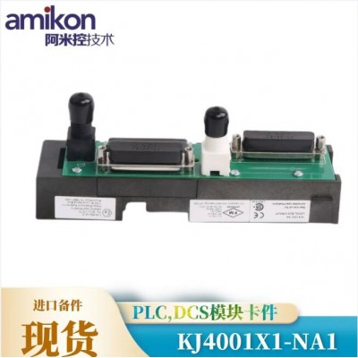 EMERSON,KJ4001X1-NA1图2