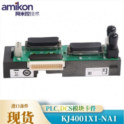 EMERSON,KJ4001X1-NA1图3