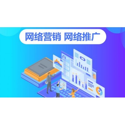 驻马店全网推广引流,网站建设图2