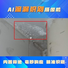 博瓦科技 化工厂AI滴漏监测预警系统 行为识别算法 可定制