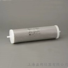 FP-92-1000型去离子柱（De-Ionizing Columns）