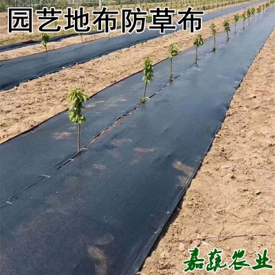 防草布专业生产各种规格型号地布防草布除草布图3