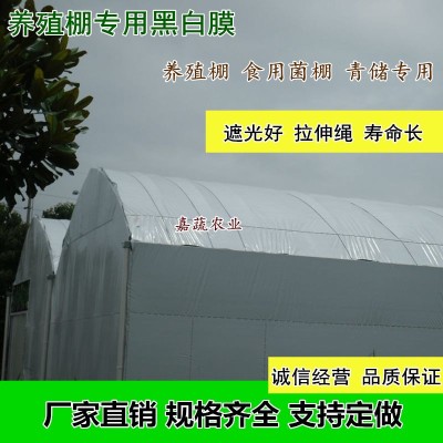 养殖棚黑白膜 养殖食用菌青储遮光膜 遮雨膜图4