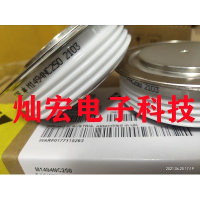 全新原装 可控硅/晶闸管N1467NS160图4