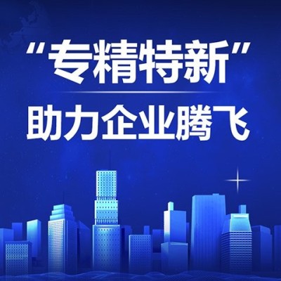 专精特新企业申报服务图3