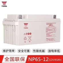 娄底汤浅蓄电池NP65-12汤浅12V65AH免维护铅酸蓄电池UP