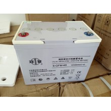 湖南双登蓄电池UPS蓄电池12V-65AH铅酸免维护蓄电池直