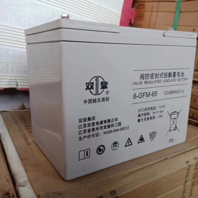 湖南双登蓄电池UPS蓄电池12V-65AH铅酸免维护蓄电池直流屏图2