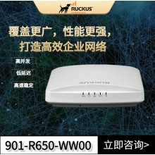 RUCKUS R650：性能稳定，重塑无线未来——您的Wi-Fi 6旗舰之选！