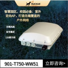 Ruckus户外AP 优科901-T750-WW51室外定向AP企业级WiFi6路由器