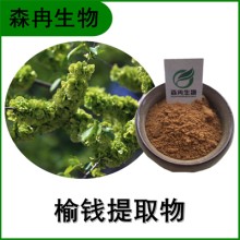 森冉生物 榆钱提取物 榆实提取物 植物提取原料粉